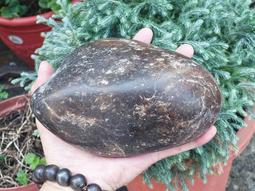 &sect;能量礦石&sect; 新疆和田玉和闐玉 且末縣二級羊脂玉331g 編號14 歷史價格詳細信息