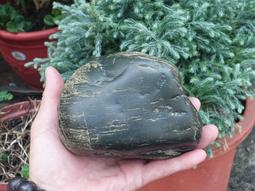 &sect;能量礦石&sect; 新疆和田玉和闐玉 且末縣二級羊脂玉331g 編號14 歷史價格詳細信息