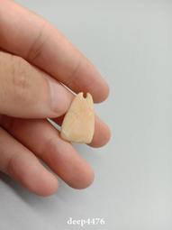 紅山文化高古玉殘件，小玉嬋，石器時代包老包真，實大實的不整那461 歷史價格詳細信息