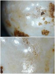 東北大小型不鏽鋼釀酒設備 304不鏽鋼燒酒專用酒鍋 歷史價格詳細信息