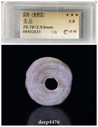 先秦，天然貝，公博85分，標版，單枚58，批發5枚起45一8199 歷史價格詳細信息