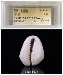 先秦，天然貝，公博85分，標版，單枚58，批發5枚起45一8199 歷史價格詳細信息