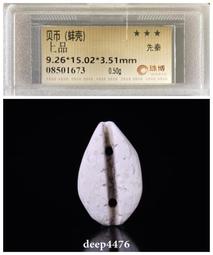 蚌貝幣公博評級美80非海貝幣骨貝幣石貝幣玉貝幣銅貝幣陶貝幣母9231 歷史價格詳細信息