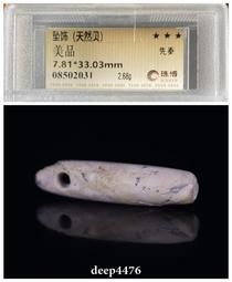 先秦，天然貝，公博85分，標版，單枚58，批發5枚起45一8199 歷史價格詳細信息