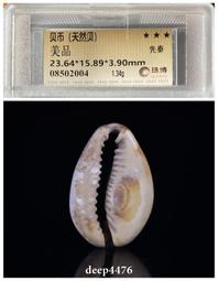 先秦，天然貝，公博85分，標版，單枚58，批發5枚起45一8199 歷史價格詳細信息