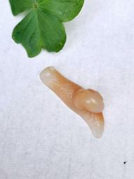 【老師傅】小米酥黑糖海苔綜合口味(6包72支入) 歷史價格詳細信息