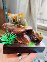 天然A貨緬甸玉 老坑紅手工雕乘龍觀音翡翠玉墜 老熟起冰紅霧層 色滿鮮豔油性佳 附台証 歷史價格詳細信息