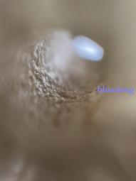 超大直徑帽簷防曬草帽出遊度假遮陽帽沙灘拍照遮陽帽可摺疊 歷史價格詳細信息