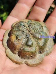 遼金?銅鹿25038 歷史價格詳細信息