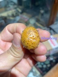 【魚魚】銀圖UV印表機UV墨水 UV固化墨水UV墨水DX5 XP600UV硬性軟性UV墨水 歷史價格詳細信息