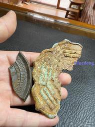 兩個標本盤子，大個的是康熙年的青花蝶戀花，另一個是天啟左右明8295 歷史價格詳細信息