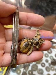 清代老銀鎖，5.5克，包漿自然，風格雅趣，晉南特產，寓意 古玩 老物件 舊藏 -3989 歷史價格詳細信息