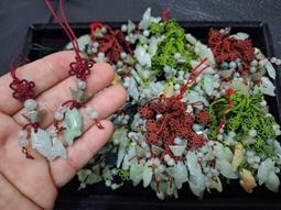 4號井深井老紫泥秦權壺。全手工制。。雙面刻繪，一面梅花虎刻繪，一面竹子，刻工精湛。幾十年陳 紫砂壺 茶具 茶壺 二手【福和二手市場】103 歷史價格詳細信息