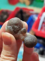 太可愛嚕甜美兔耳朵帽子女秋冬加絨加厚保暖毛絨帽護耳帽雷鋒帽 歷史價格詳細信息