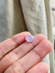 花蛋前後夾擊USB充電遙控震動女用自慰器(遙控加溫款) 歷史價格詳細信息