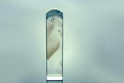 [Disk水晶][微帶藍針]激光料白水晶方印材Y-34(72x19x19mm重67克) 歷史價格詳細信息