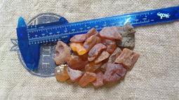 波羅葛各式敬果盤-滿599免運 歷史價格詳細信息