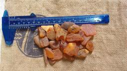 波羅葛各式敬果盤-滿599免運 歷史價格詳細信息