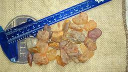 波羅葛各式敬果盤-滿599免運 歷史價格詳細信息