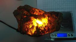 天然多米尼加藍珀耳釘 - 歷史價格詳細信息