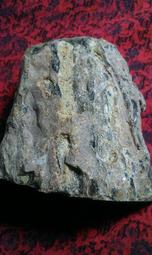 原脂白星月菩提子藏式直切桶珠5x4mm正月160顆手串文玩佛珠 歷史價格詳細信息