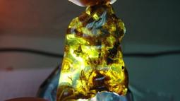 天然多米尼加藍珀耳釘 - 歷史價格詳細信息