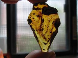 天然多米尼加藍珀耳釘 - 歷史價格詳細信息