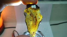 天然多米尼加藍珀耳釘 - 歷史價格詳細信息