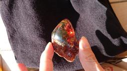 多明尼加琥珀-10 (17.3公克) 歷史價格詳細信息