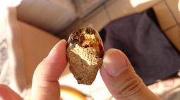 多明尼加琥珀-10 (17.3公克) 歷史價格詳細信息