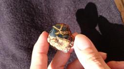 多明尼加琥珀-10 (17.3公克) 歷史價格詳細信息