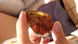 多米尼加10分銀幣1937年223 歷史價格詳細信息