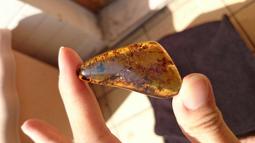 多明尼加琥珀-10 (17.3公克) 歷史價格詳細信息