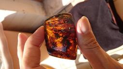 多米尼加20比索 1990年 DOMINICAN REPUB492 歷史價格詳細信息