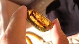 多明尼加琥珀-10 (17.3公克) 歷史價格詳細信息