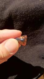 多明尼加琥珀-10 (17.3公克) 歷史價格詳細信息