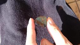 多明尼加琥珀-10 (17.3公克) 歷史價格詳細信息