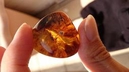 多米尼加20比索 1990年 DOMINICAN REPUB492 歷史價格詳細信息