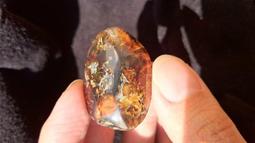 多明尼加琥珀-10 (17.3公克) 歷史價格詳細信息