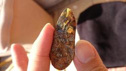 多明尼加琥珀-10 (17.3公克) 歷史價格詳細信息