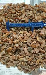 波羅葛各式敬果盤-滿599免運 歷史價格詳細信息