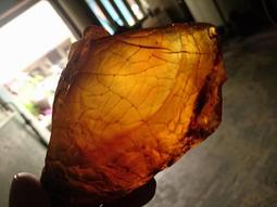 波羅葛各式敬果盤-滿599免運 歷史價格詳細信息