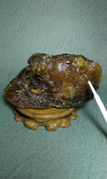 慧明小舖-琥(蟲)珀原礦(味香)-不規則形-144g(390) 歷史價格詳細信息