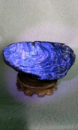 慧明小舖-藍琥珀原礦(帶皮)-不規則形-554g(279) 歷史價格詳細信息