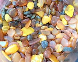 波羅葛各式敬果盤-滿599免運 歷史價格詳細信息