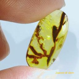 《流行琥珀焦糖色系列甲油膠》～有16色可選 歷史價格詳細信息