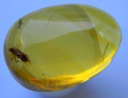 多米尼加20比索 1990年 DOMINICAN REPUB492 歷史價格詳細信息