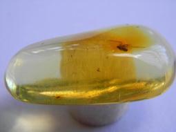 多米尼加20比索 1990年 DOMINICAN REPUB492 歷史價格詳細信息