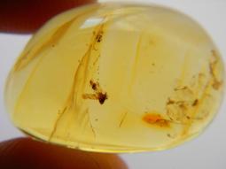 多米尼加20比索 1990年 DOMINICAN REPUB492 歷史價格詳細信息