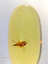 夢幻胡蘿蔔暖手寶&行動電源(4500mAh)/8秒快速雙面發熱/二擋調節/多項保護功能/禮品/贈品/批發-久久霸禮贈品 歷史價格詳細信息